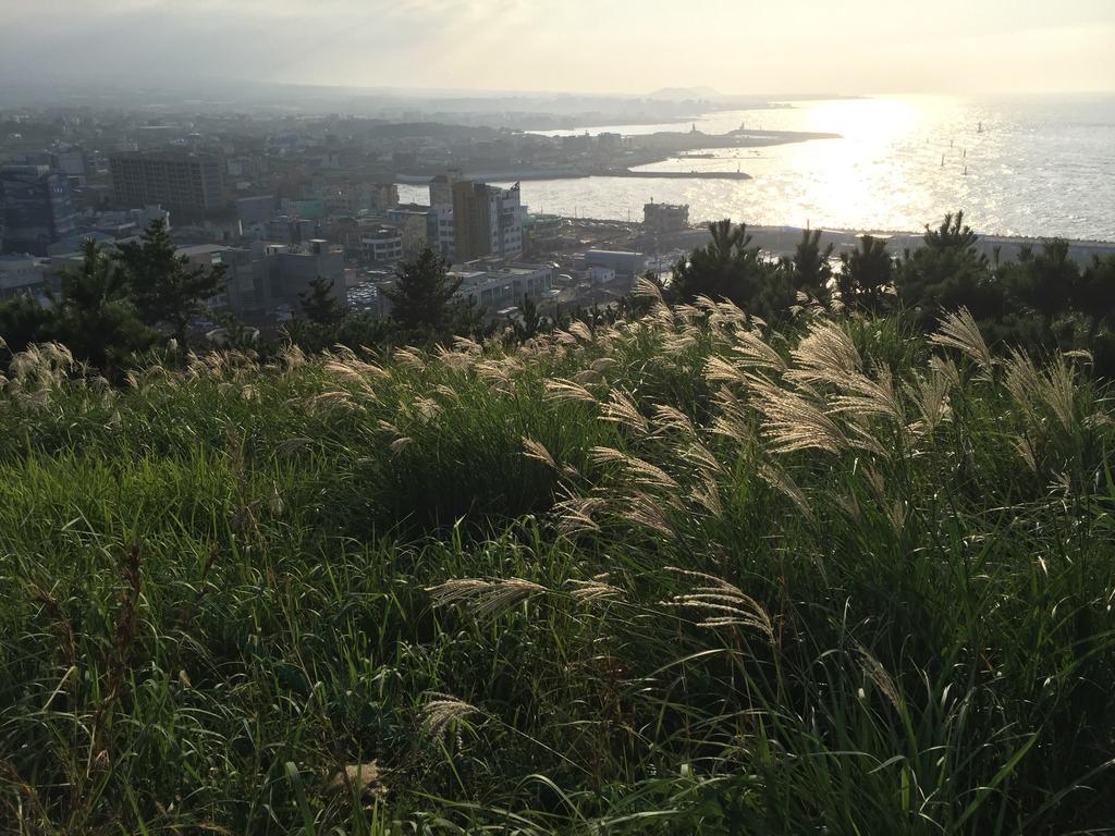 Villa Oh Happy Day Jeju Esterno foto
